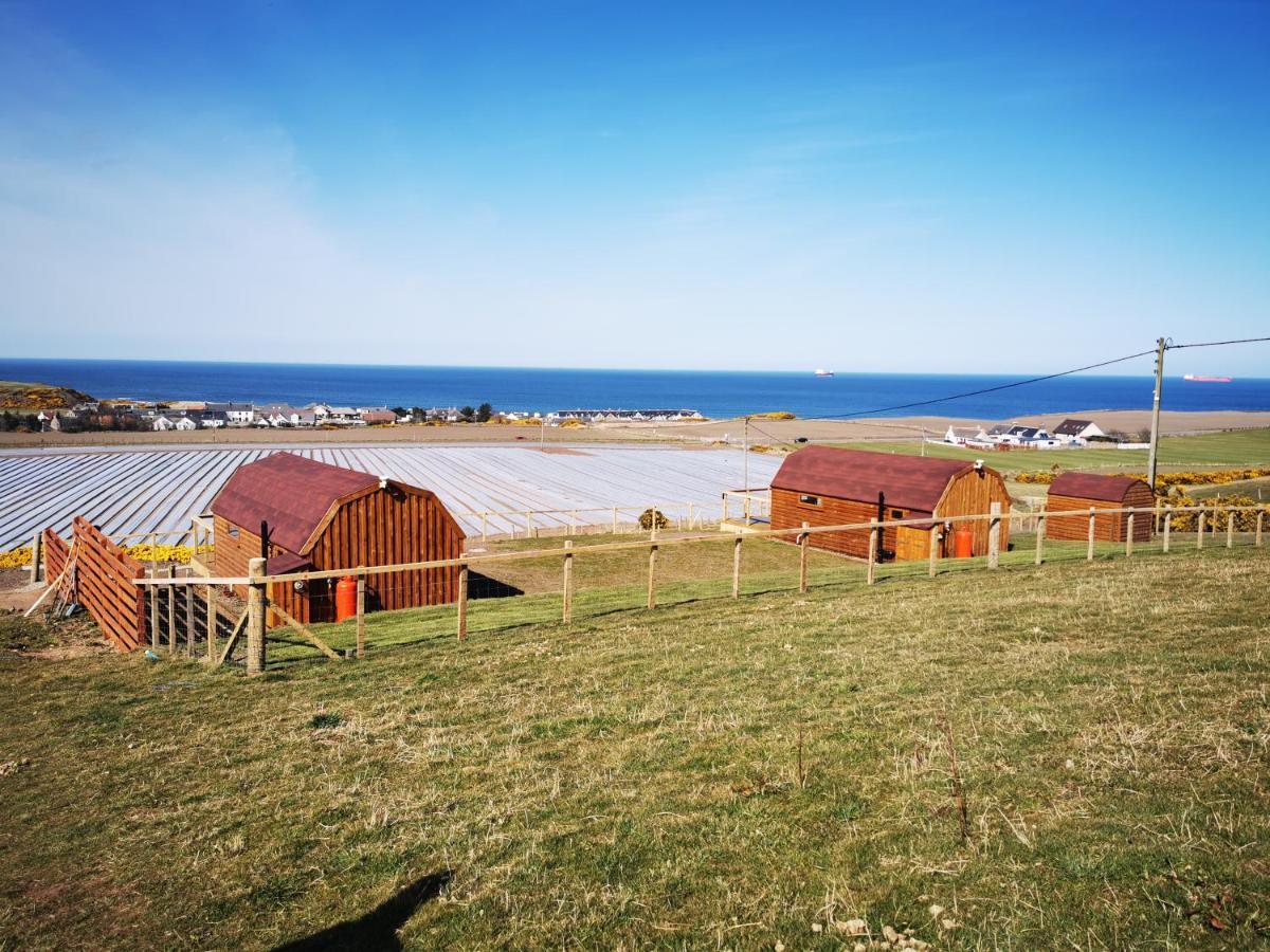 Отель Gowanview Glamping Банф Экстерьер фото